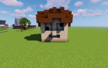 A Head
