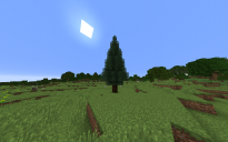 SpruceTree