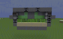 FARM SUGARCANE VINICCIUS13