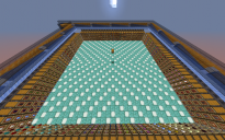 Huge Auto Sorter
