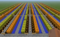Large semiautomatic planting and harvesting of Melons and Pumpkin Farm!!