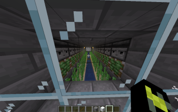 Good Sugarcane Farm