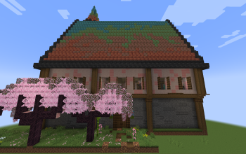 Large House
