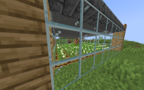 Villager food farm