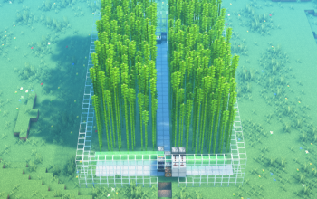 Bamboo Farm