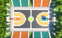 Basketball Court