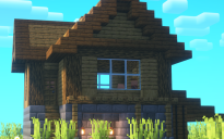 Starter House #5