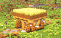 Starter House #12