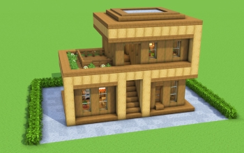 Modern Starter House
