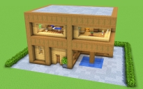 Modern Starter House