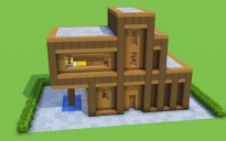 Modern Starter House