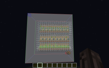 Cane and bamboo farm