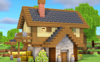 Best Starter House