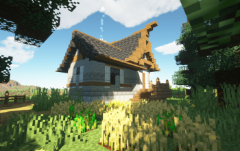 Medieval Starter House