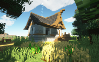 Medieval Starter House