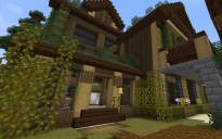 House in forest