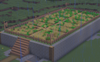 Tex's Farm