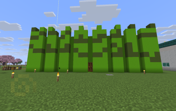 Best sugarcane farm