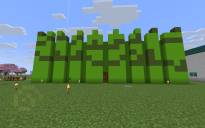 Best sugarcane farm