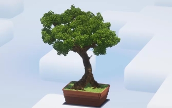 Big Bonsai Tree