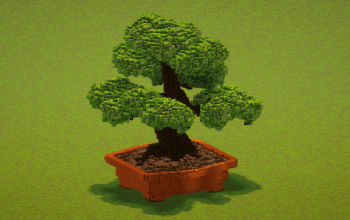 Bonsai tree