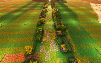 Beautiful Path