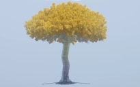 Elden Ring Yggdrasil Tree