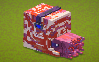 Nautilus