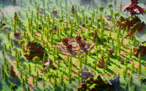 💀WARZONE - Bloodreach | 1000x1000💀