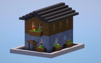 Basic Starter House