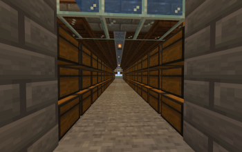 300-Chest Warehouse with Auto-Sorting