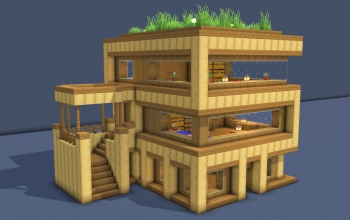 Modern Starter House