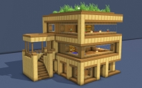 Modern Starter House