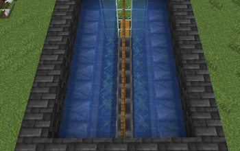 Small automatic kelp farm