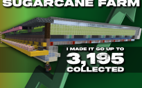 water stream sugarcane farm