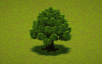 Small Pine Tree