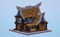 Wooden Medieval House