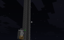 Raid simple 1.21.10