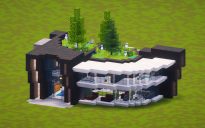 Modern Green Roof Villa