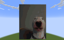 WALTER!!!!!!!!!!!!!!