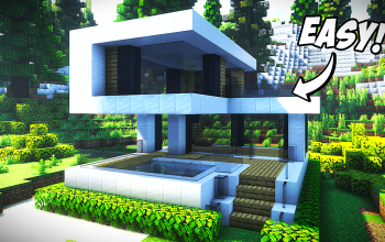 Modern House #6