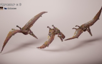 pterosaur x 3（Free download）