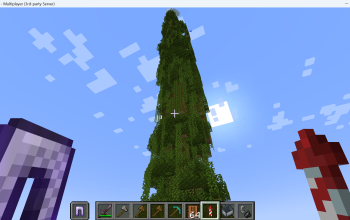 very tall jungle tree