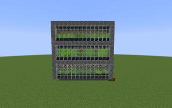 Sugarcane Farm