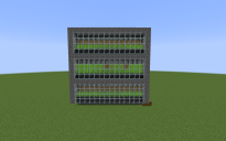 Sugarcane Farm