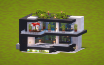 Small Modern House