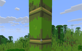 Bambu Farm