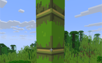 Bambu Farm
