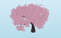 Cherry tree