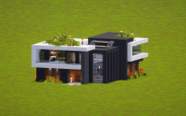 Glassy Modern House